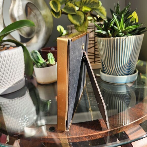 Mounted Real Butterfly Papilio gigon Indonesian Swallowtail Specimen Taxidermy - Picture 7 of 7